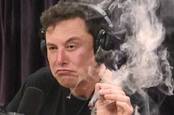 Elon Musk smoking a spliff on Joe Rogan's podcast
