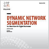 DynamicNetworkSegmentation