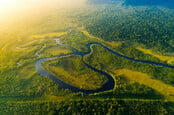 amazon river in brazil rainforest