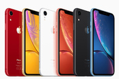 iPhone XR all colour group shot