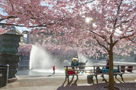 Kungstradgarden in stockholm sweden