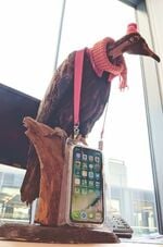 Is that an iPhone in your lanyard or are you just happy to see me? Reg the vulture strikes a moody poses with the kit.