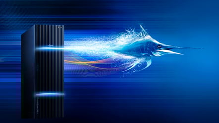 Server Swordfish Server Swordfish