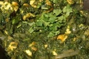 Saag Recipe Teaser