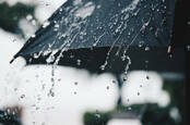 umbrella - rain