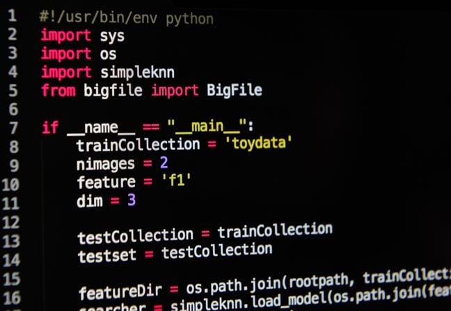 When byte code bites: Who checks the contents of compiled Python