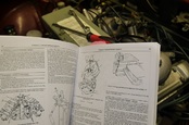 Haynes Service Manual