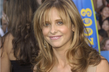 sarah michelle gellar who plays buffy in the series