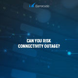 2_Whitepaper-Can_you_risk_connectivity_outage