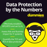 data_protection_by_the_numbers_fd