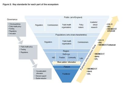 Figure of patient information flow