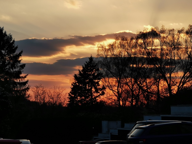 Huawei P30 Pro Sample Image