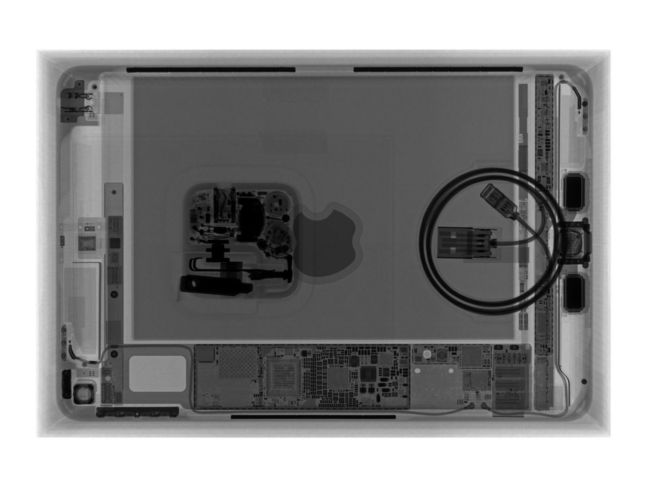 ipad mini 5 xray of internals