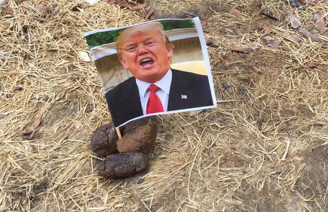 Donald Trump flag on a dog turd Donald Trump flag on a dog turd