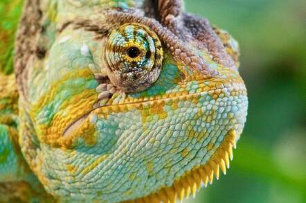 Suse Taps Sap Exec Melissa Di Donato To Become Open Source Biz S