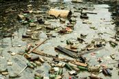 Image of trash-strewn pond