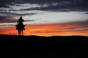 Cowboy silhouette on a horse during sunset