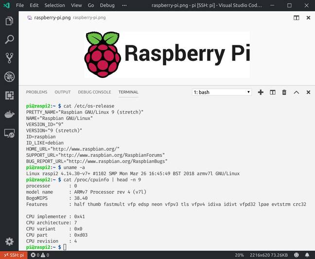 Remote editing for Raspberry Pi? You will need the Insider VS Code