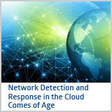 NetworkDetectionAndResponseInTheCloud