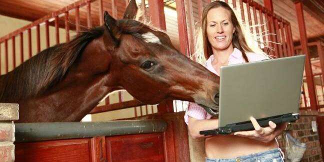 horse