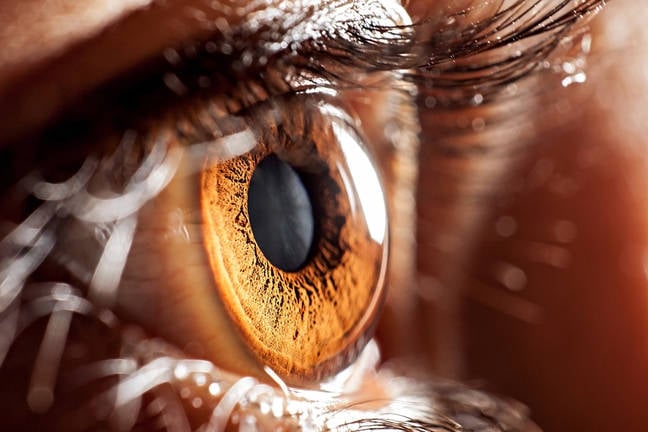 Boffins 3D-print artificial iris muscle that flexes both ways