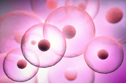 cells