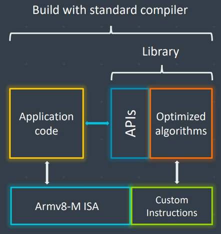 Arm's overview of custom instruction abstraction