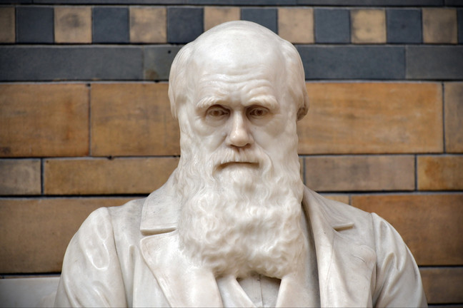 Beardy biologist's withering takedown of creationism fetches $564,500 at auction