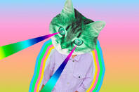 rainbow cat - psychedelic  art