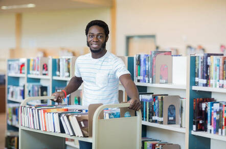 librarian returns books to shelves