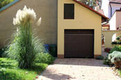 house in Surrey suburban neighbourhood, pampas grass in the driveway