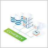 Cohesity