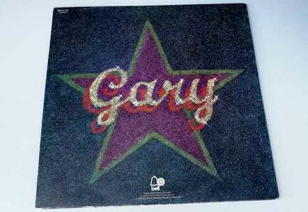 Glitter album back vinyl