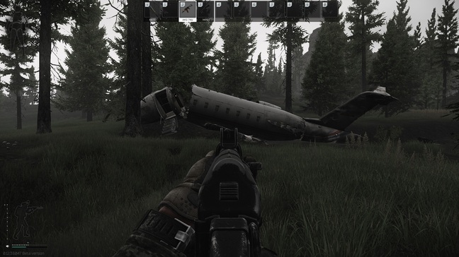 Downed plane on Woods