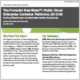 The_Forrester_New_Wave_Public_Cloud_Enterprise_Container_Platforms_Q3_2019 The_Forrester_New_Wave_Public_Cloud_Enterprise_Container_Platforms_Q3_2019