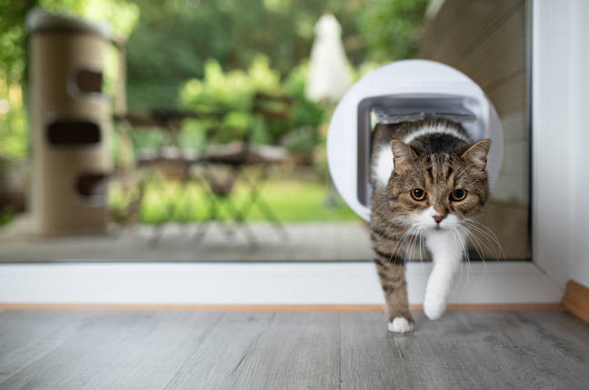 Softcat MD stepping down at reseller months after flogging