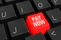 A red button reading 'pay now'