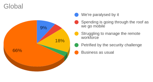 Global results of the IT pandemic reader poll