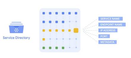 Service Directory is an alternative to DNS resolving endpoints