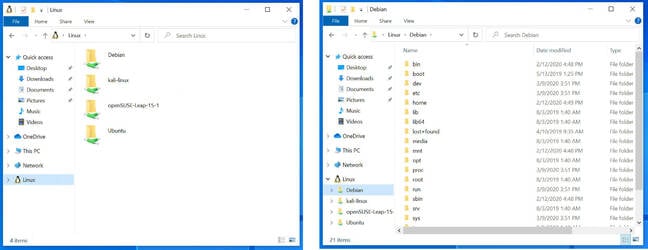 Screenshot of Linux files in File Explorer