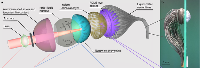 from Gu et al