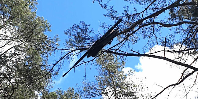 The missing Latvian drone, found in a tree. Pic: Latvian CAA