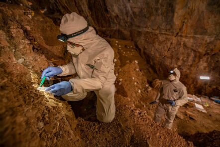 Assistant professor Mikkel Winther Pedersen from the University of Copenhagen sampling the cave sediments for DNA. Credit: Devlin A. Gandy