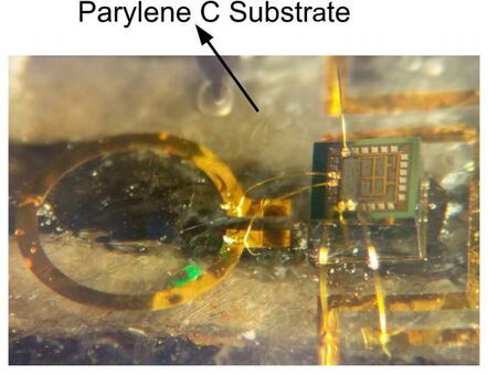 A Purdue University team developed a fully implantable transmitter chip for wireless sensor nodes and biomedical devices.