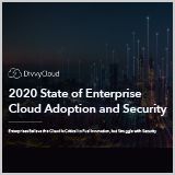 2020-State-of-Enterprise-Cloud-and-Container-Adoption-and-Security_compressed