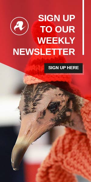 a Register Newsletter