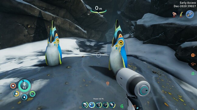 The penguin-like penglings