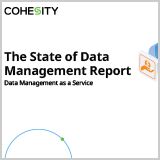 the-state-of-data-management-report-en