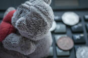 teddy on keyboard with some coins