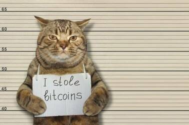 Bitcoin catburglar